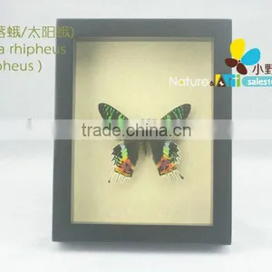 FOUSEN(017) Nature& Art Natural Species Gifts for Elderly thumbnail-2
