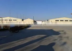Qingdao Colorful World International Trade Co., Ltd. company overview - view 3 thumbnail