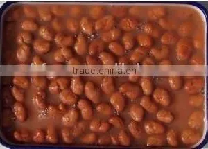 Hot Sale Canned Broad Beans in Brine Canned Vegetable High Quality thumbnail-1