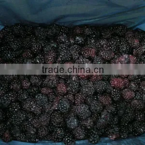 2014 Season Frozen Blackberry, Best Quality For Our Customers thumbnail-2