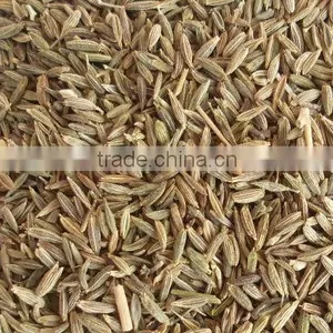 Europe Quality Cumin Seed for Best Price thumbnail-4
