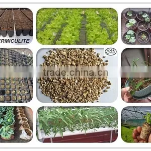 Coarse Expanded Vermiculite as Growing Medium for Organic Gardening thumbnail-6
