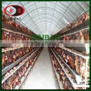 High Quality Poultry 4 Layer Chicken Cages for Poultry Chicken Egg Cages Farm thumbnail-2