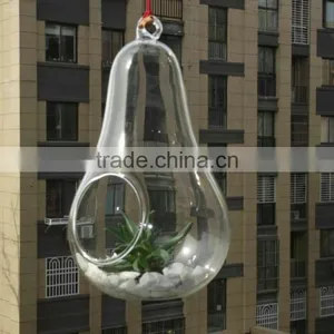 Micro Landscape Ecological Pear Shape Meaty Hanging Plant Glass Vase thumbnail-3