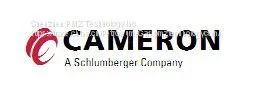 SLB Cameron 13-5/8