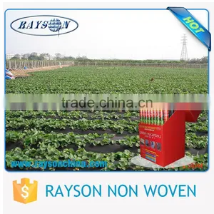 Wholesale Biodegradable Mulching Film / Landscape Fabric thumbnail-3