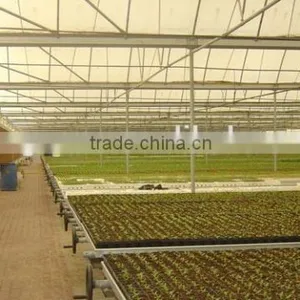 Nursery Greenhouse thumbnail-1
