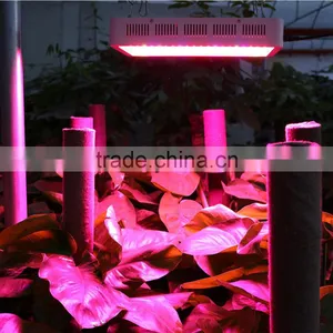 600W Led Grow Light With Veg/bloom Spectrum for Hydroponic Indoor Greenhouse/garden Plant Growing thumbnail-4