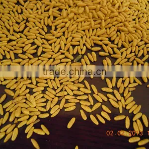 Instant Rice Nutritional Rice Food Processing Line Sherry Bian 0086-15553158922 thumbnail-5