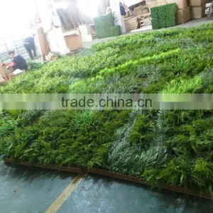 Russia's Project of Artificial Green Wall/park and Shopping Mall Plant Green Wall thumbnail-1