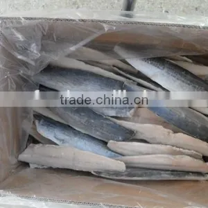 Frozen Spanish Mackerel Fillet (Scomberomorus Niphonius) thumbnail-1