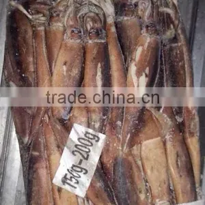 Peruvian Seafood of Illex Squid thumbnail-1