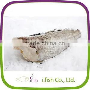 Patagonian Toothfish thumbnail-1