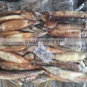 New Landing Seafrozen Wholesale Argentina Squid for Bait thumbnail-1