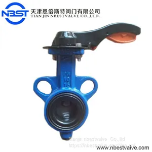 Standard Bundor Cast Iron Wafer Type Butterfly Valve Low Pressure thumbnail-1