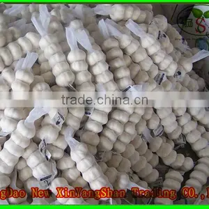2015 Cang Shan Garlic/Fresh Garlic thumbnail-5