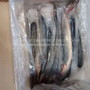 Catfish Whole Round é Poisson-Chat Chat thumbnail-1
