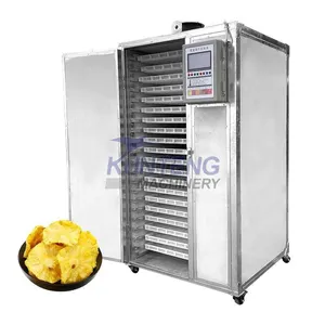 Dehydrated Pineapple Machine Fruit Dryer 220V Electric Heating Constant Temperature Drying Oven EPC thumbnail-1