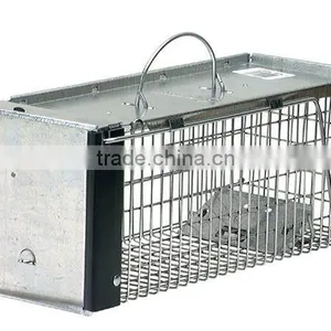 Animal Trap thumbnail-1