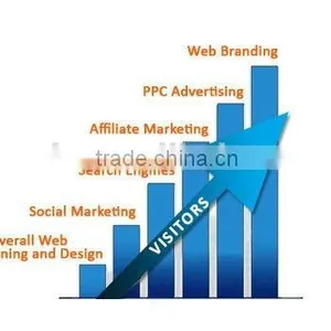 Search Engine and Social Website Marketing Service thumbnail-1