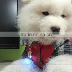 Cool Flashing LED Collar Tag for Dog Cat Pet Aluminum Waterproof Safety thumbnail-1