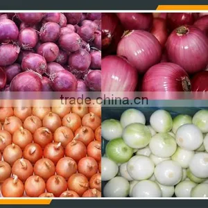 Onion Pulp Machine thumbnail-2