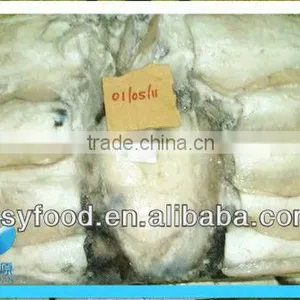 Fresh Frozen Whole Cuttlefish on Sale thumbnail-4