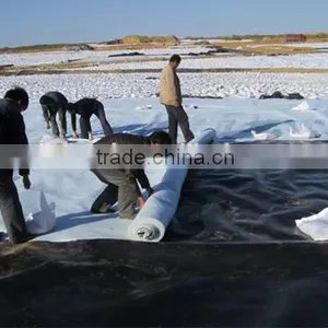 HDPE Geomembrane(1.5mm) for Fish Pond or Landfill Projects thumbnail-6