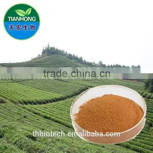 Manufacturer Pure Natural High Quality Green Tea Extract, Green Tea Extract Powder, Tea Polyphenol thumbnail-1