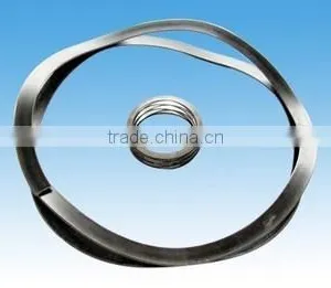 Carbon Steel and Stainless Steel Mult-layer or Single Layer Wave Washer With TS16949 Approved thumbnail-1