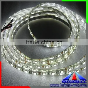 High Quality Smd 5050 30leds/m DC24V/9w, 5050 Flexible Led Strip Light thumbnail-1