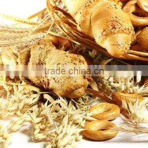 Food Additive Bakery Yeast thumbnail-1