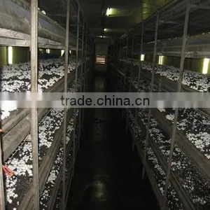 Mushroom CULTIVATION CLOTH/nursery Bed for Mushroom Greenhouse Growing thumbnail-2