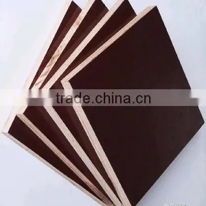 Timber Wood For Construction Building Material thumbnail-3