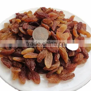 Sun Dried Raisin, New Crop 2015 thumbnail-1