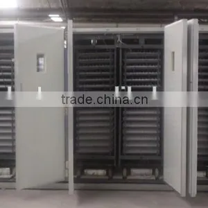 Free Insurance Chicken Eggs Automatic Humidity Control Hatcher Machine thumbnail-1