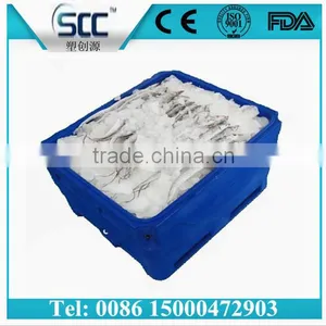 1000L Insulated Container for Storing Fish, Large Plastic Fish Container by Rotomolding thumbnail-4