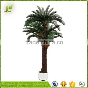 Hot Sale Oranmental Artificial Cycas Revoluta Tree for Sale From China thumbnail-5
