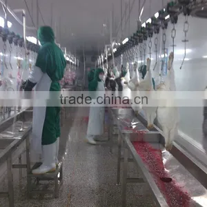 Rabbit Processing Slaughterhouse thumbnail-4