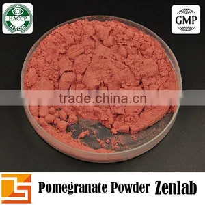 Organic Pomegranate P.e for Pomegranate Juice Powder thumbnail-4