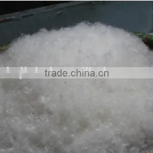 Washed Down 90%white Duck Down USA Standard Whole Sale Filling Material Duck Down thumbnail-4