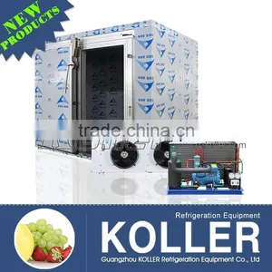 Koller Hot Sale Small Capacity Cold Storage Room With Refrigerators for Fruits VCR20 thumbnail-1