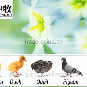 New Type ZM-264 Eggs Machine, Chicken Egg Incubator, Automatic Hatchery Machine thumbnail-6