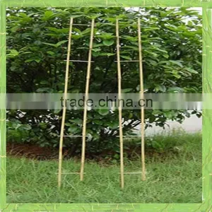 Bamboo Ladder thumbnail-1