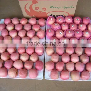 Fresh Apple Fruit Packaging thumbnail-3