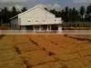 Coir Coconut Fiber thumbnail-1