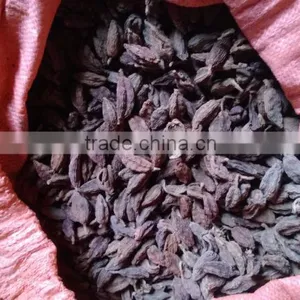 Black Cardamom From Viet Nam thumbnail-1