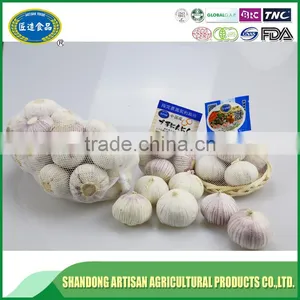 Best Price of Single Clove Garlic for Wholesale thumbnail-5