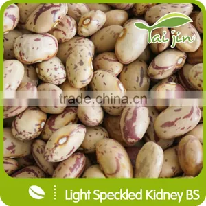 Dried Raw Sugar Beans thumbnail-5