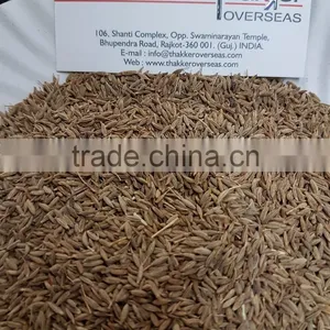 Europe Quality Cumin Seed for Best Price thumbnail-1